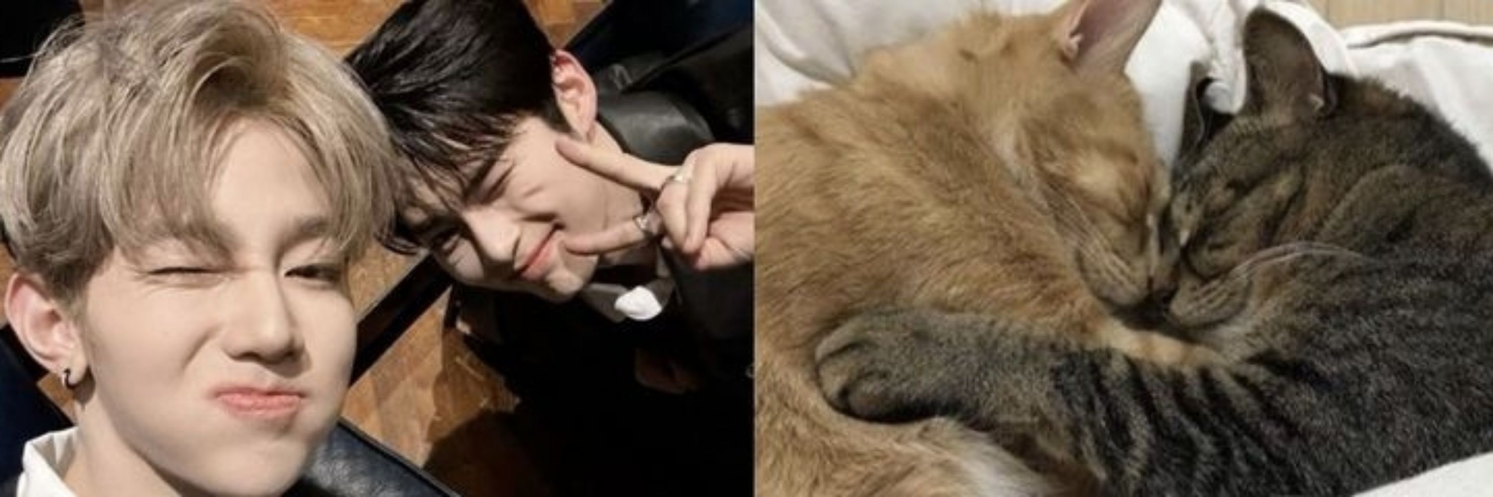 remimi ♡ hanbin
