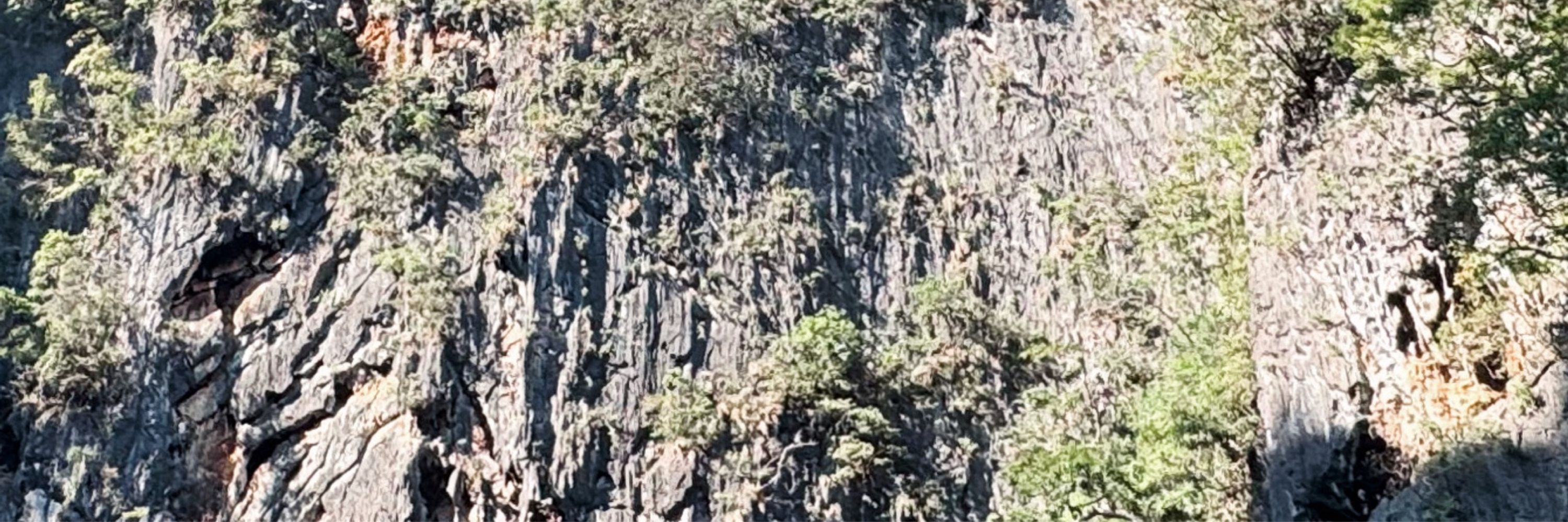 pedroca