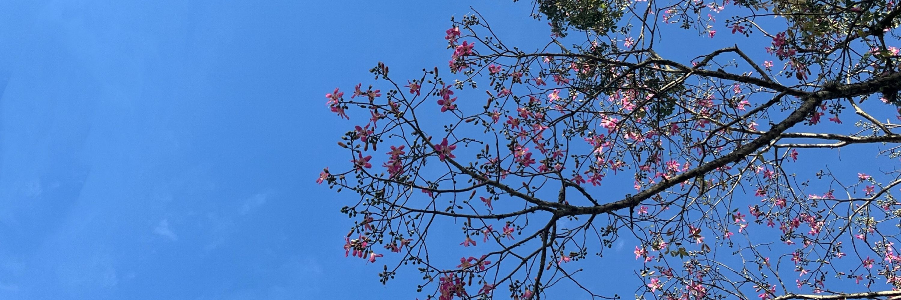 ca