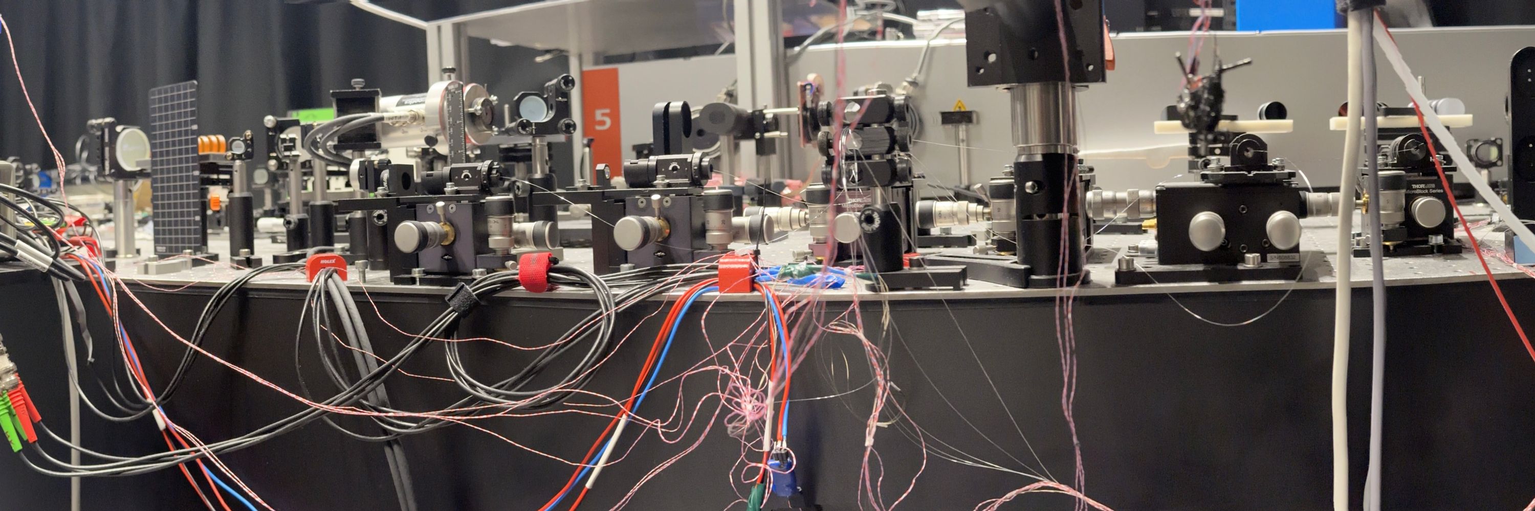 BBO Lab| Small imaging techniques for small freely moving brains