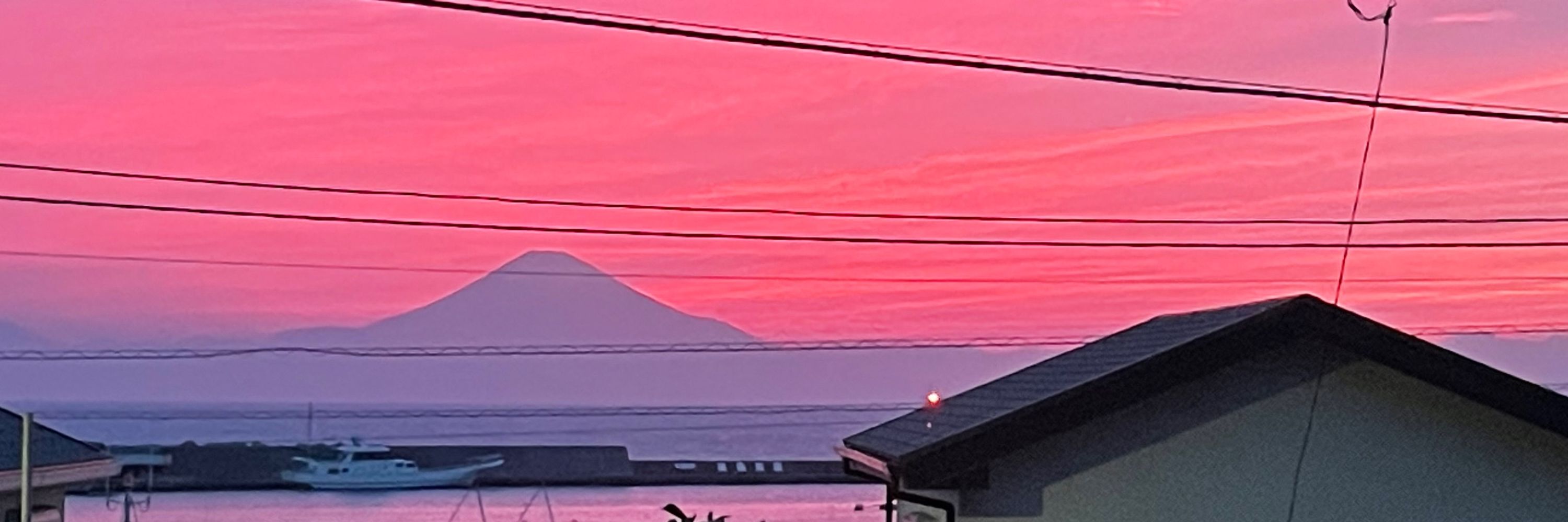 エンジェリック甲殻類