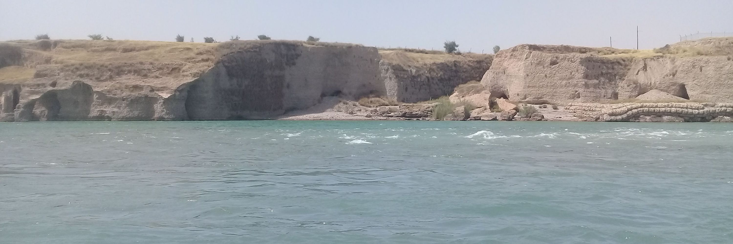 احمدپایمرد