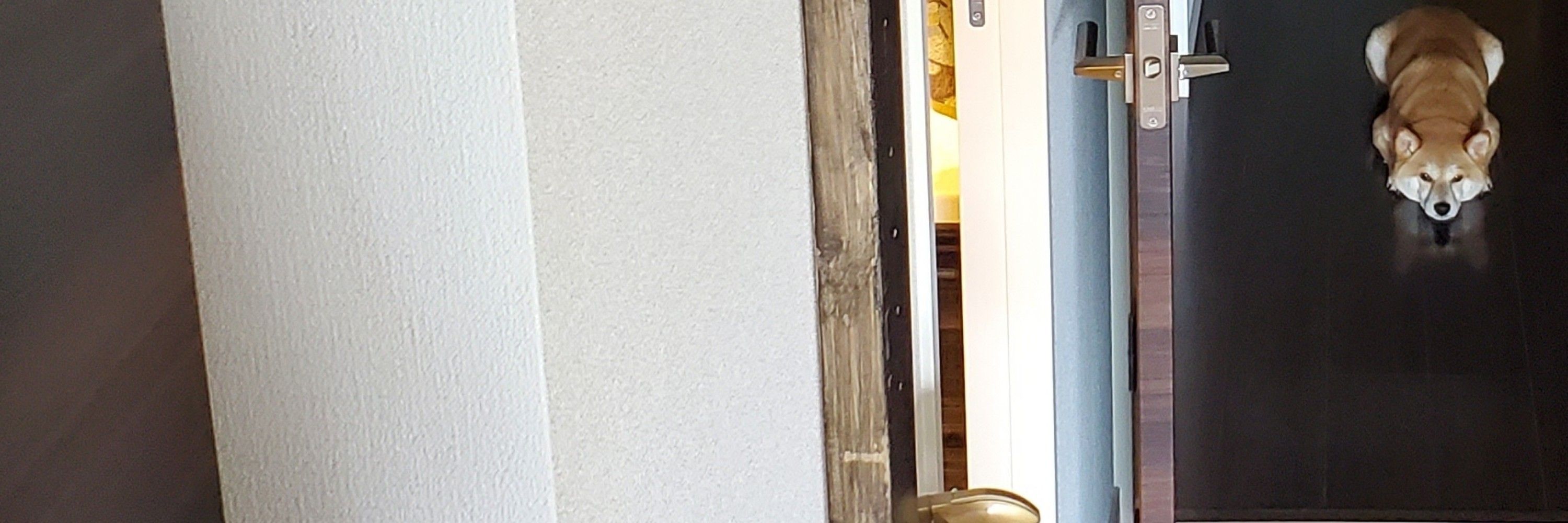 まめしば？ムー