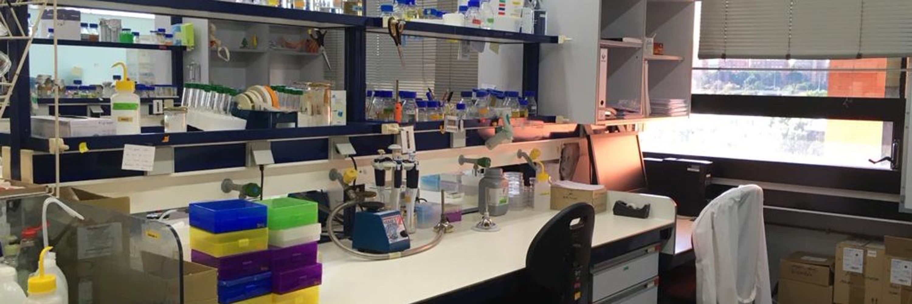 CuFe Lab