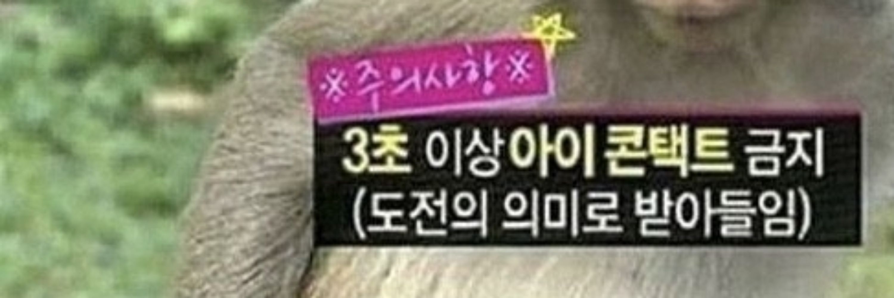 싹둑(프본)잉애옹