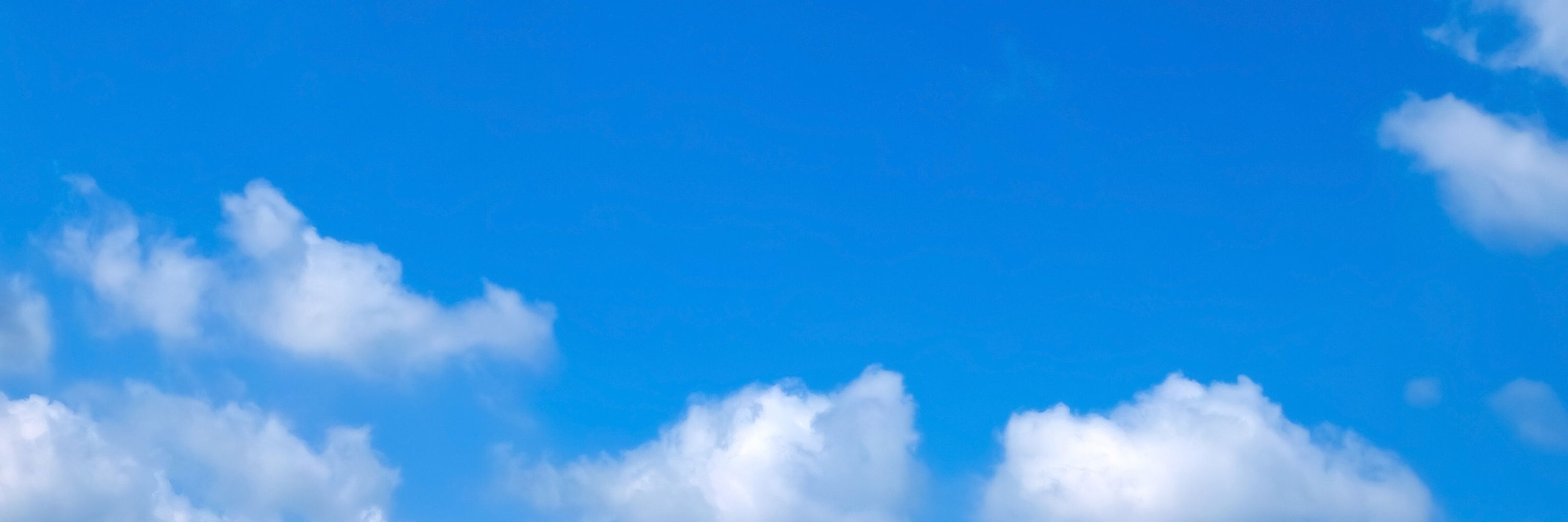 まわた