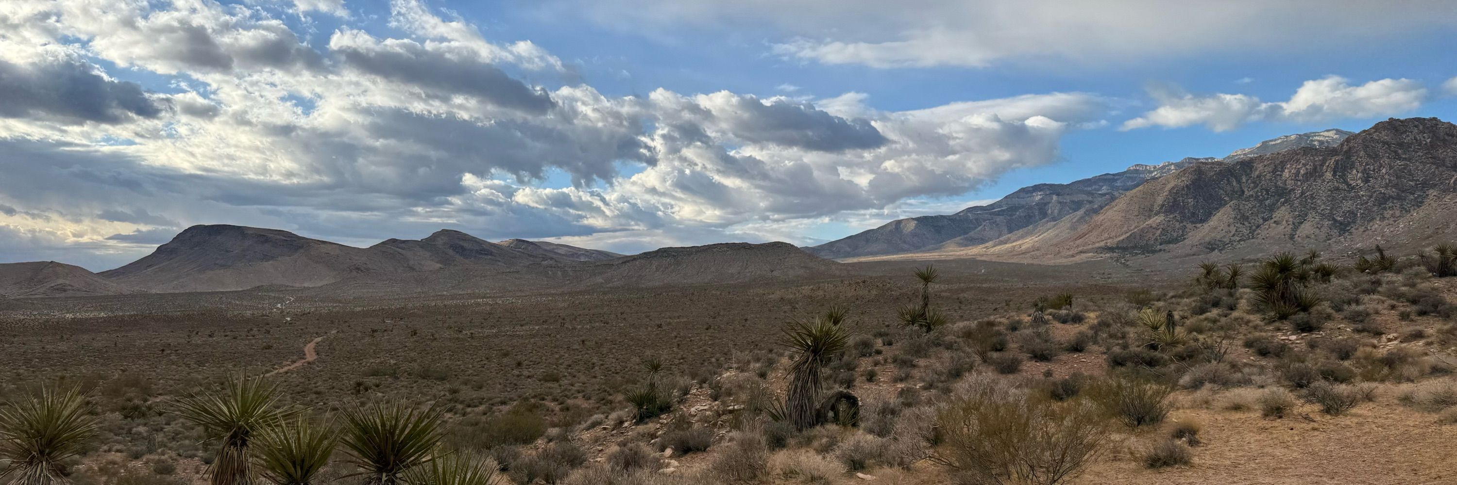 Desert Trailrunner