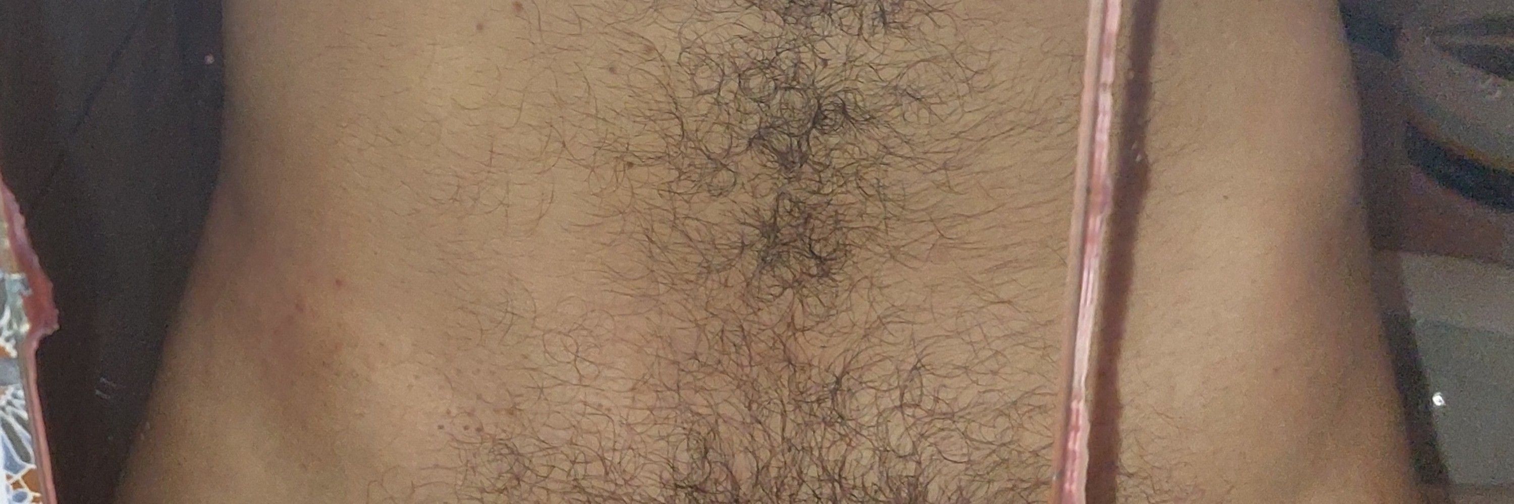 Gui Fernandes