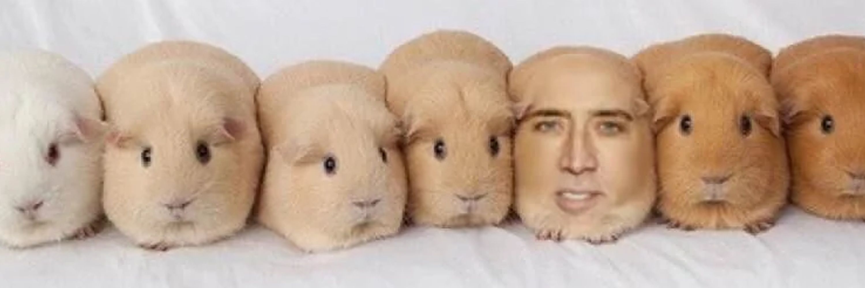 GPLumiere