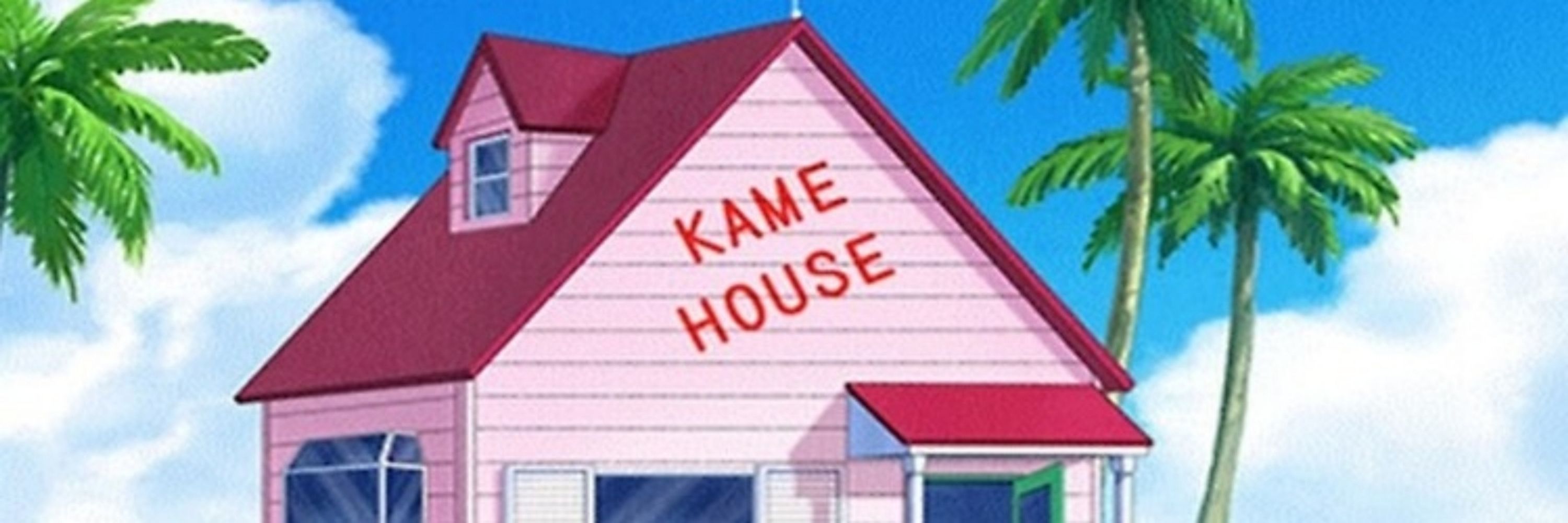Krillin Enthusiast 