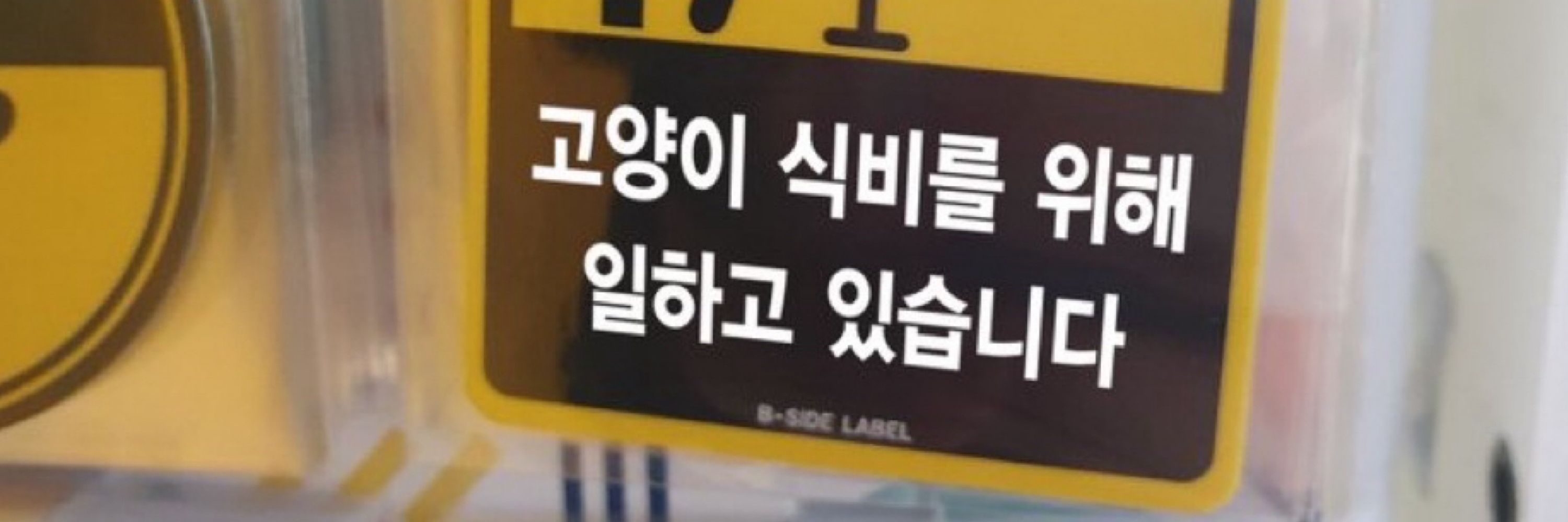 김용다🕯️