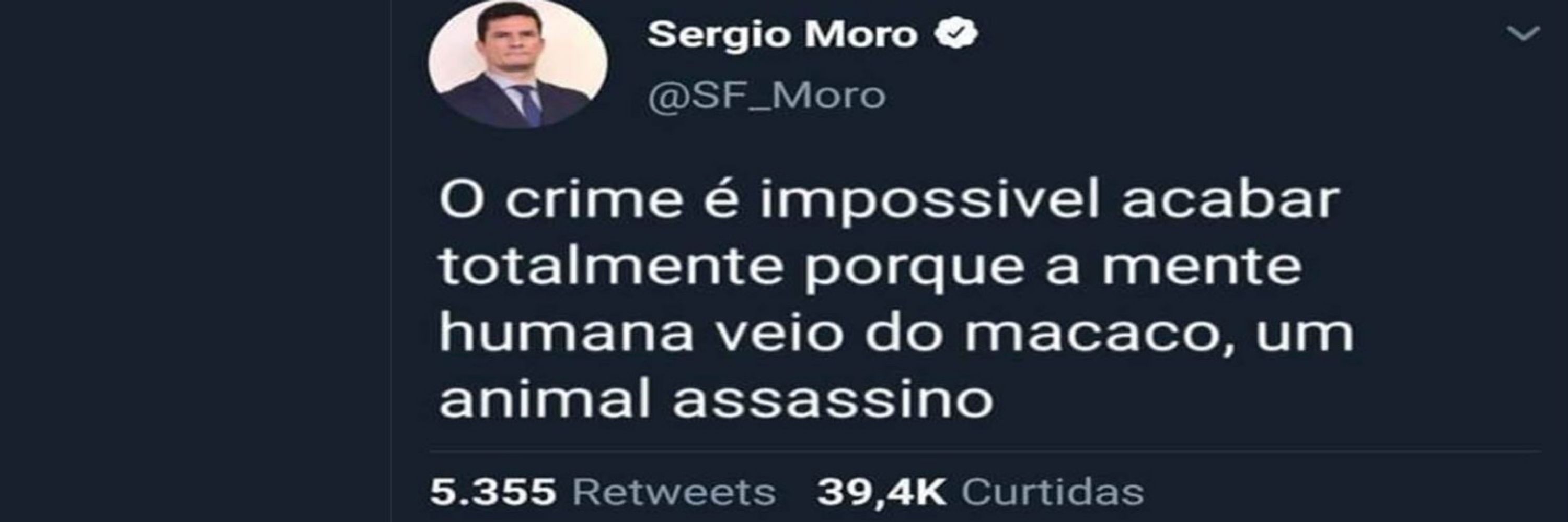 luizamartinelli 