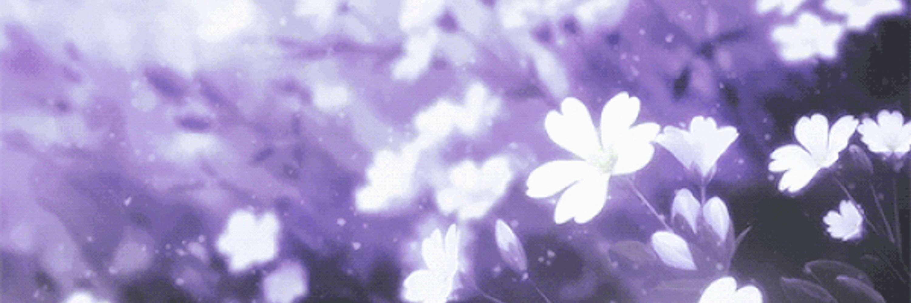 VioletZoe 💜