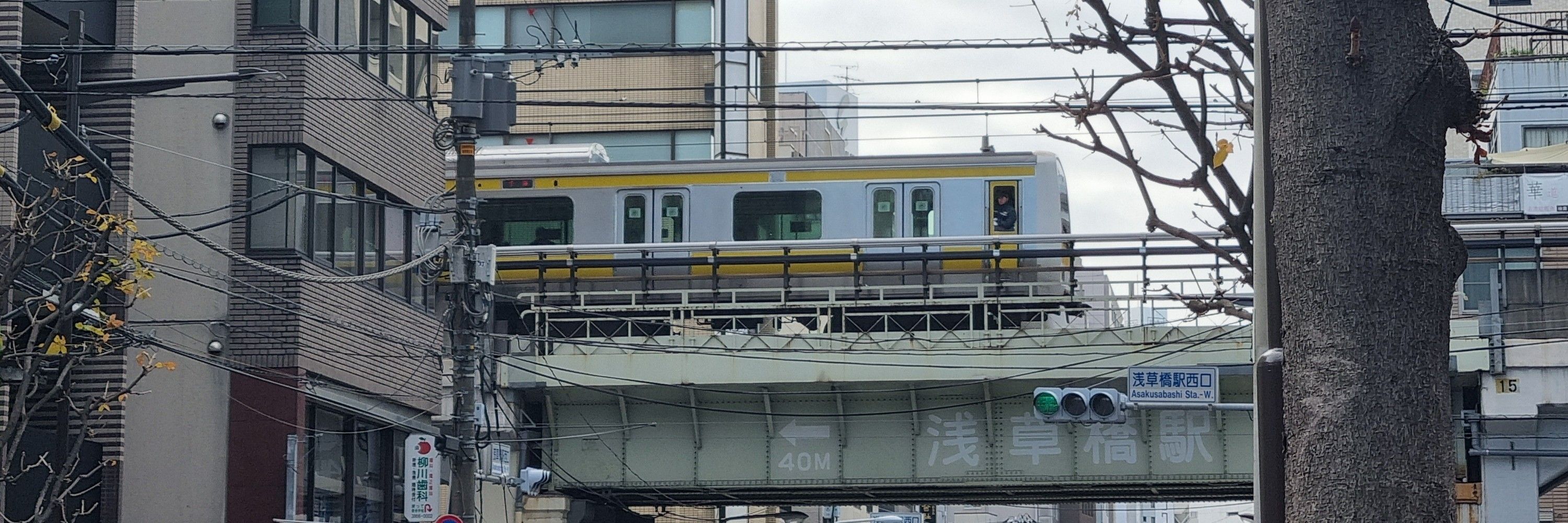 マグロ🐟
