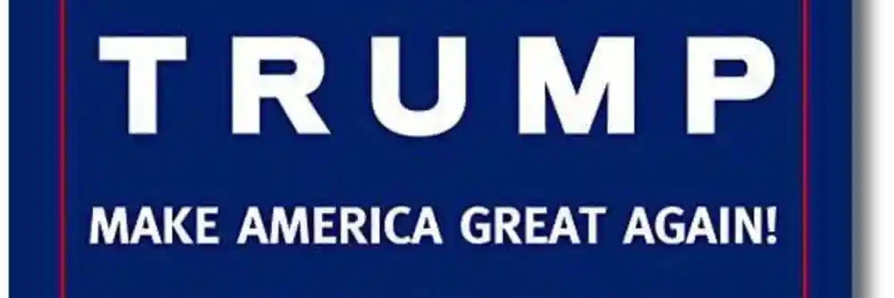 Number One Trump Fan!