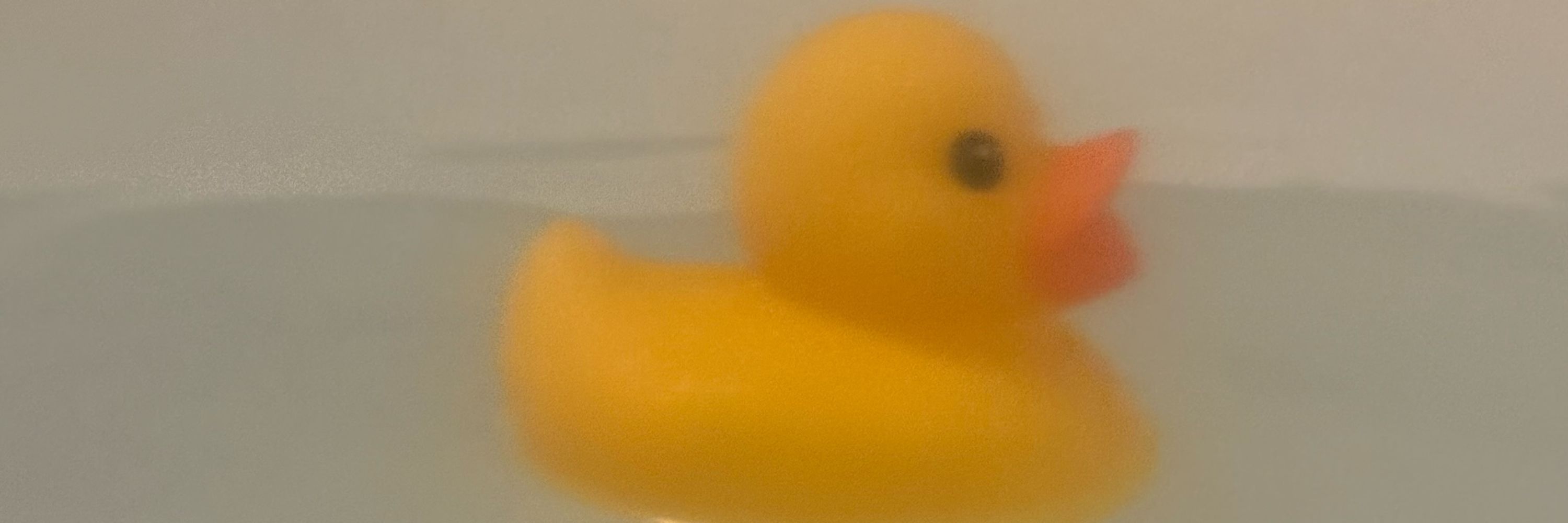 きょう