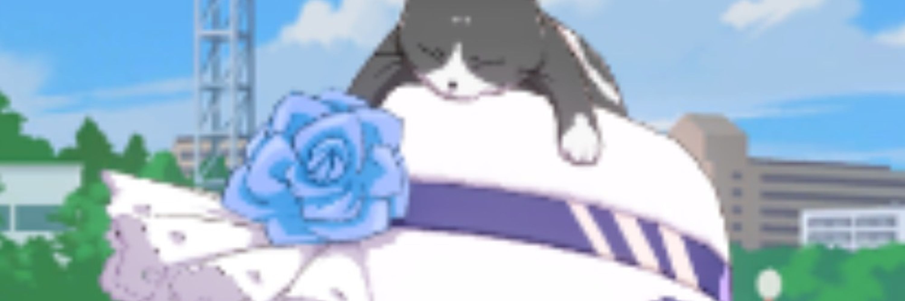 ごろぬこ