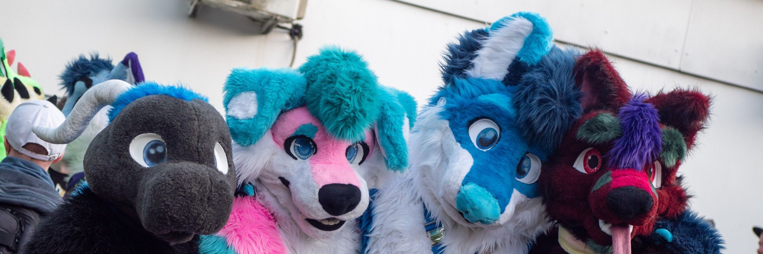 Rou Husky