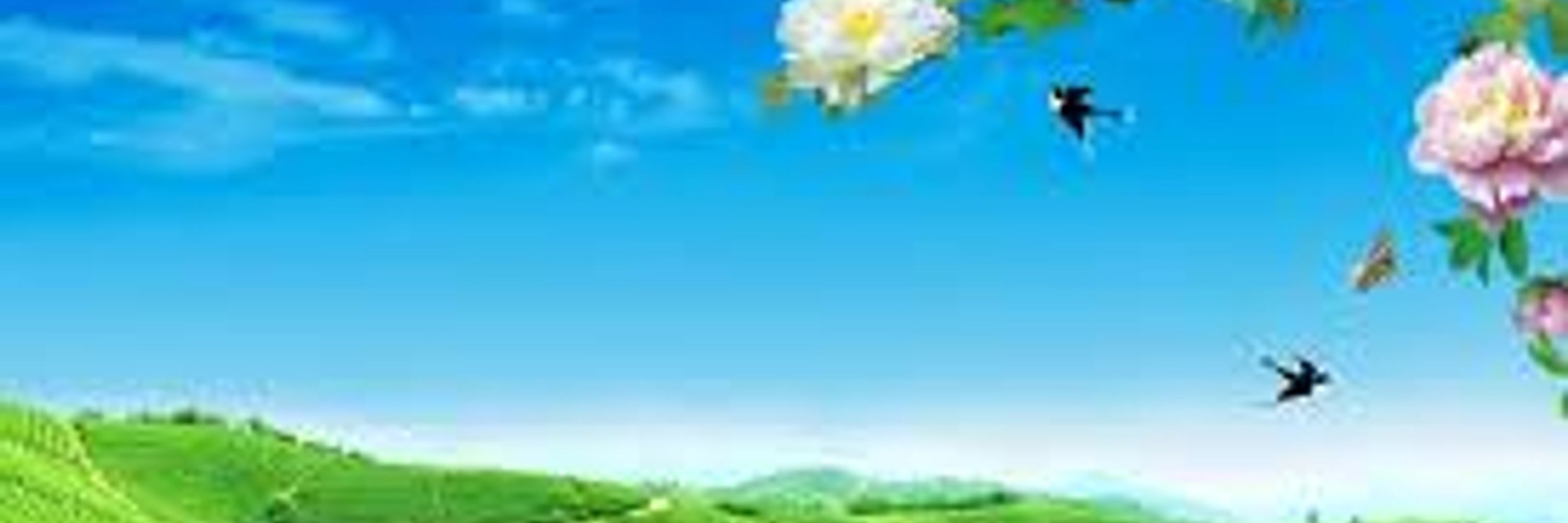 Sulekha Marwin
