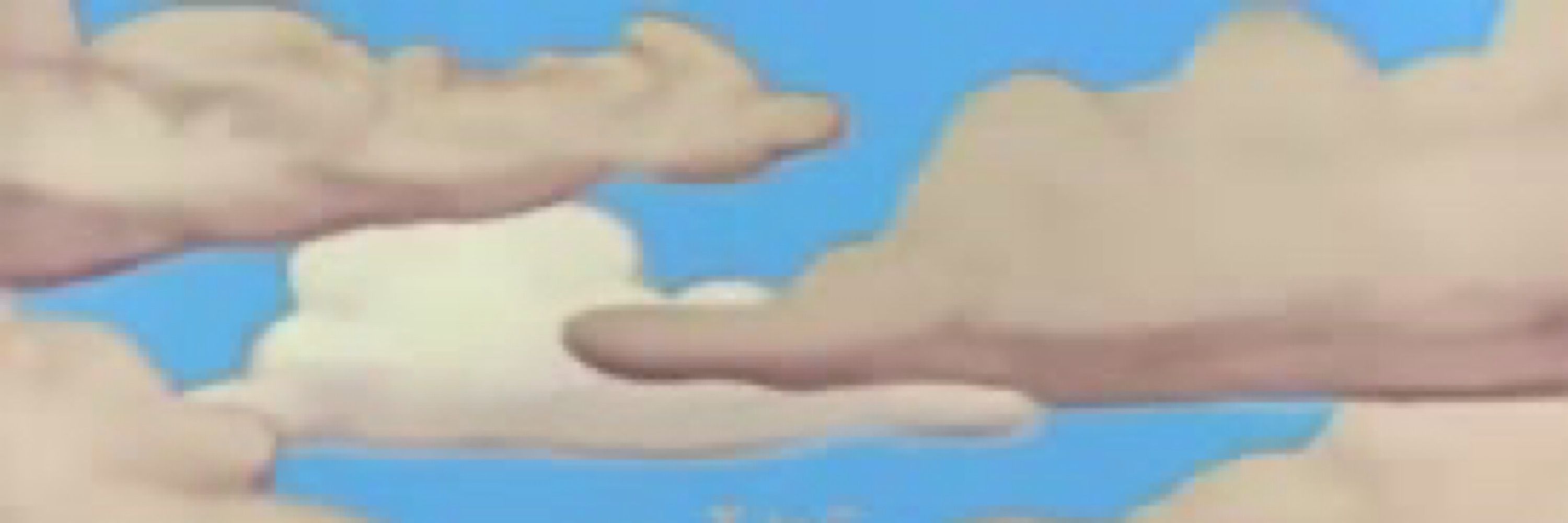 simpsorama
