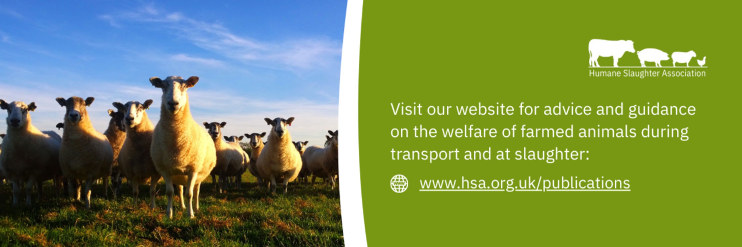 The Humane Slaughter Association