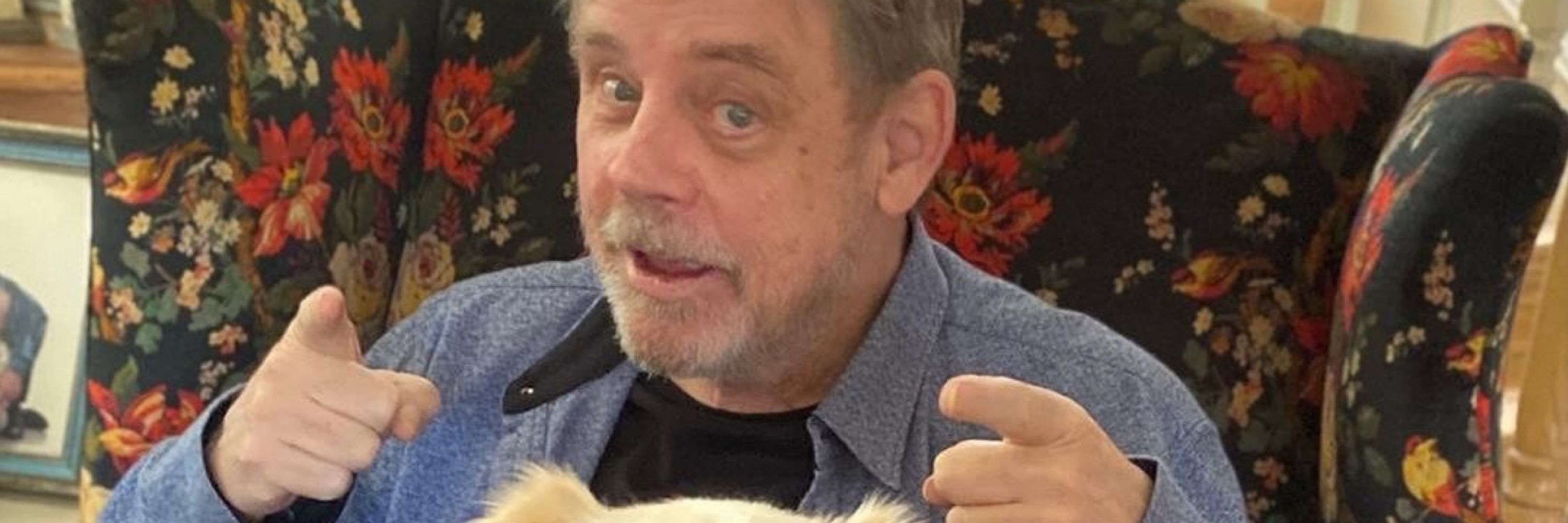 Mark Hamills Fanpage