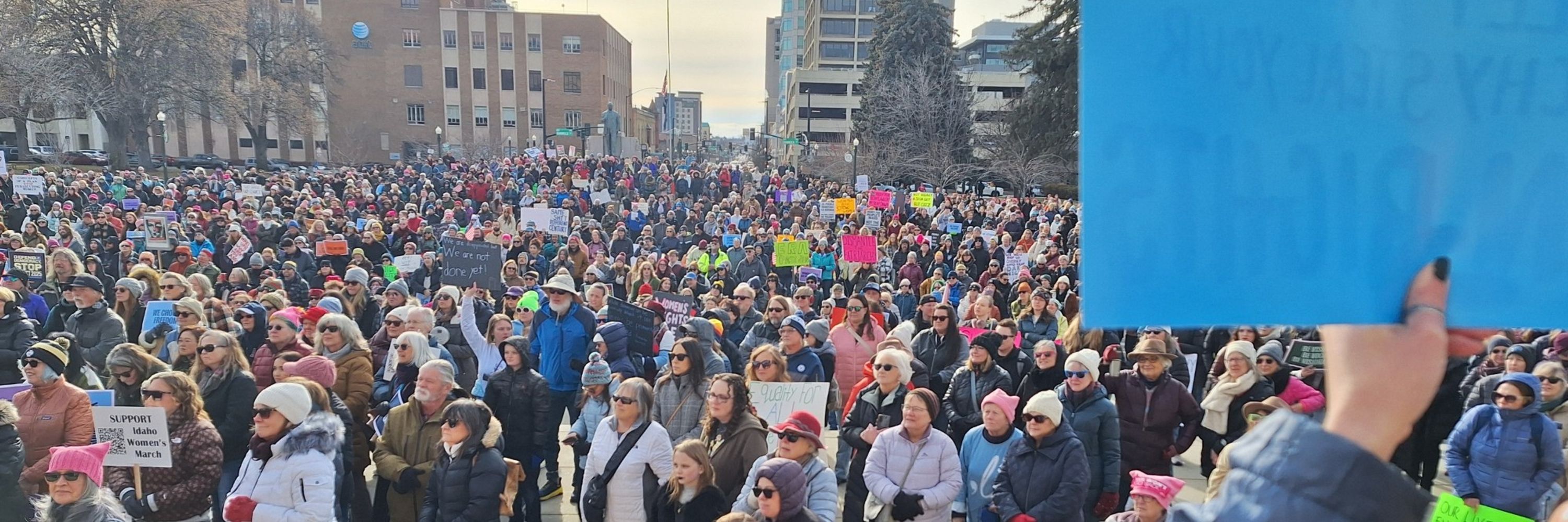 Indivisible Boise Chapter One