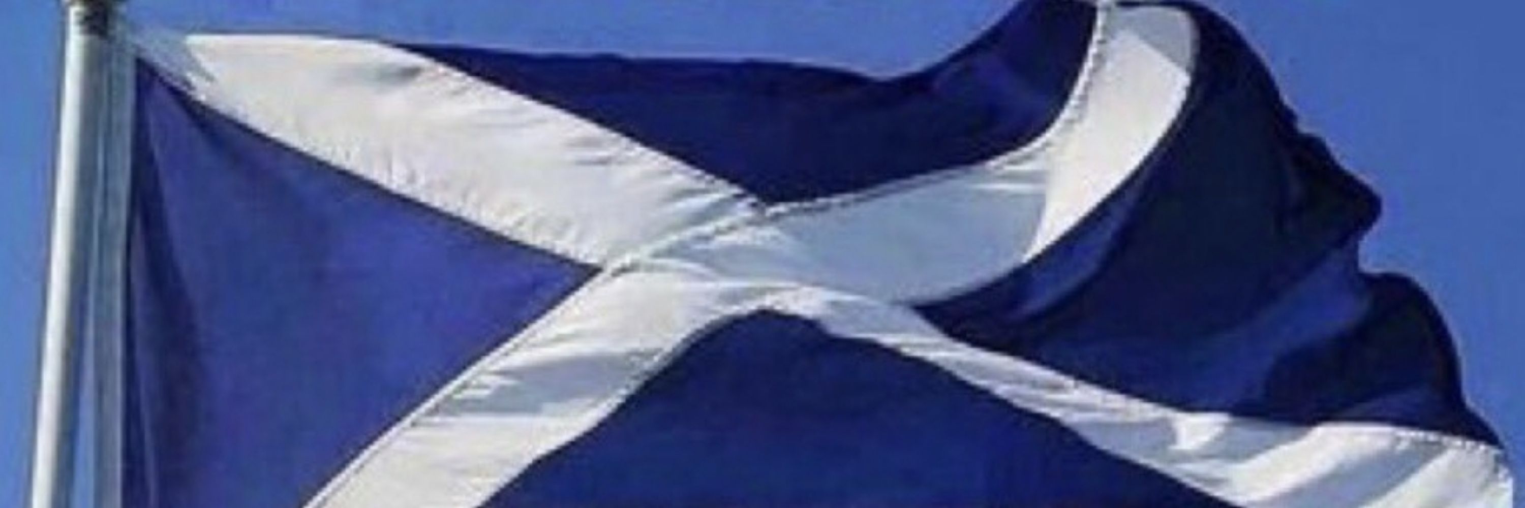 Rosco 🏴󠁧󠁢󠁳󠁣󠁴󠁿🇬🇷🇩🇪🇪🇺FBPE