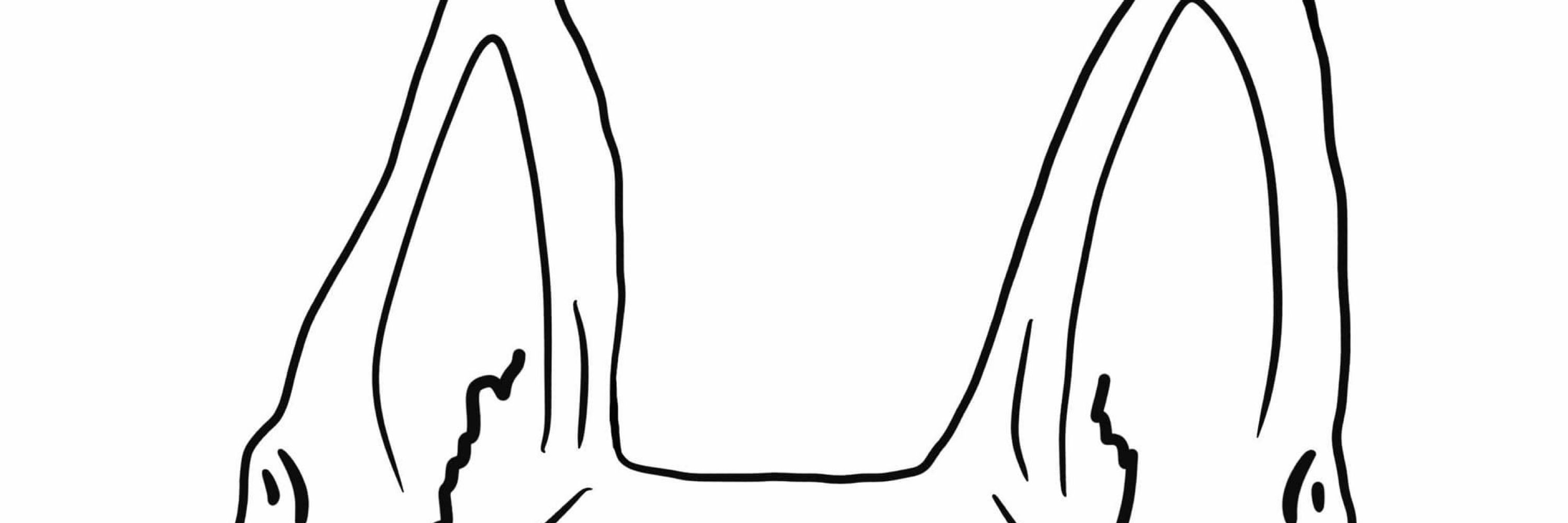 Ana
