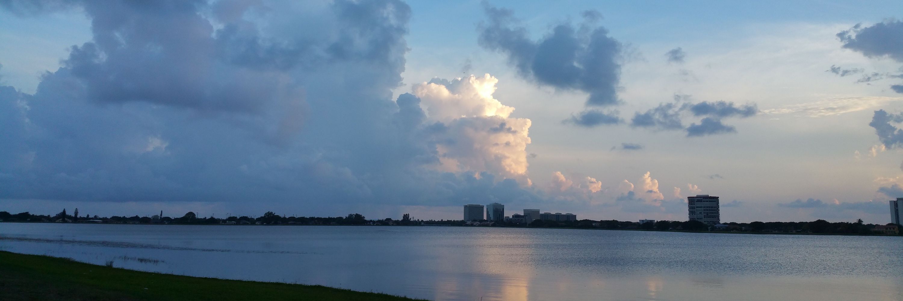 Michelle Robin Gould, Licensed Mental Health Counselor, Florida