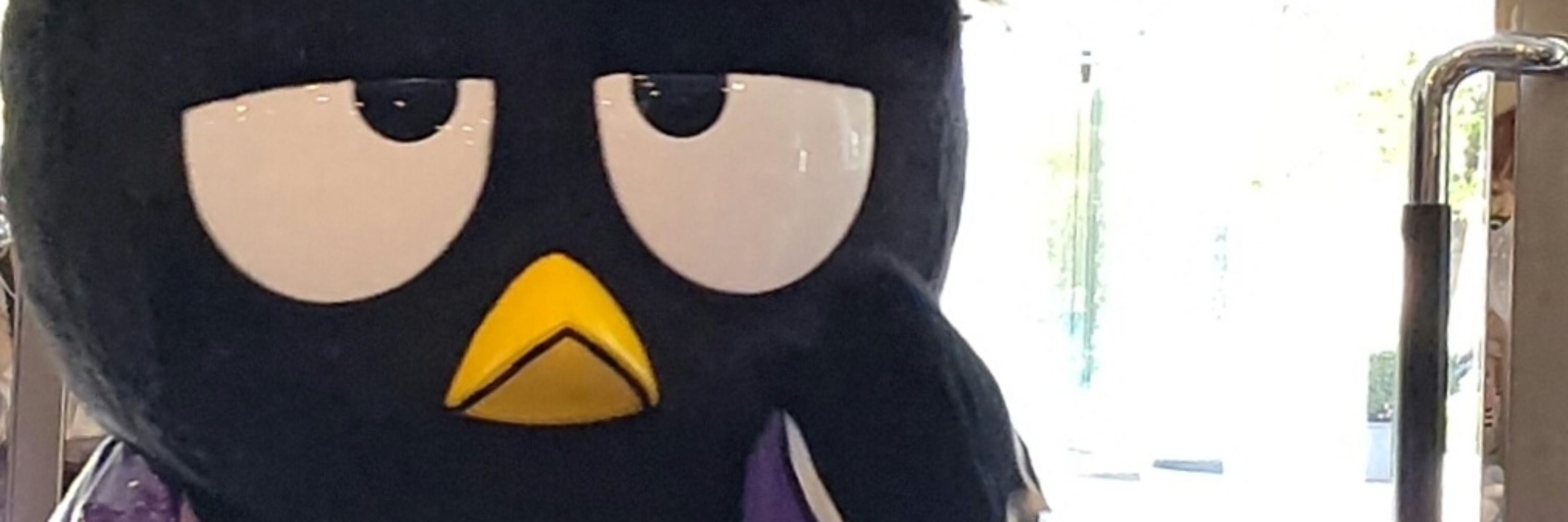 ʟᴇɴ