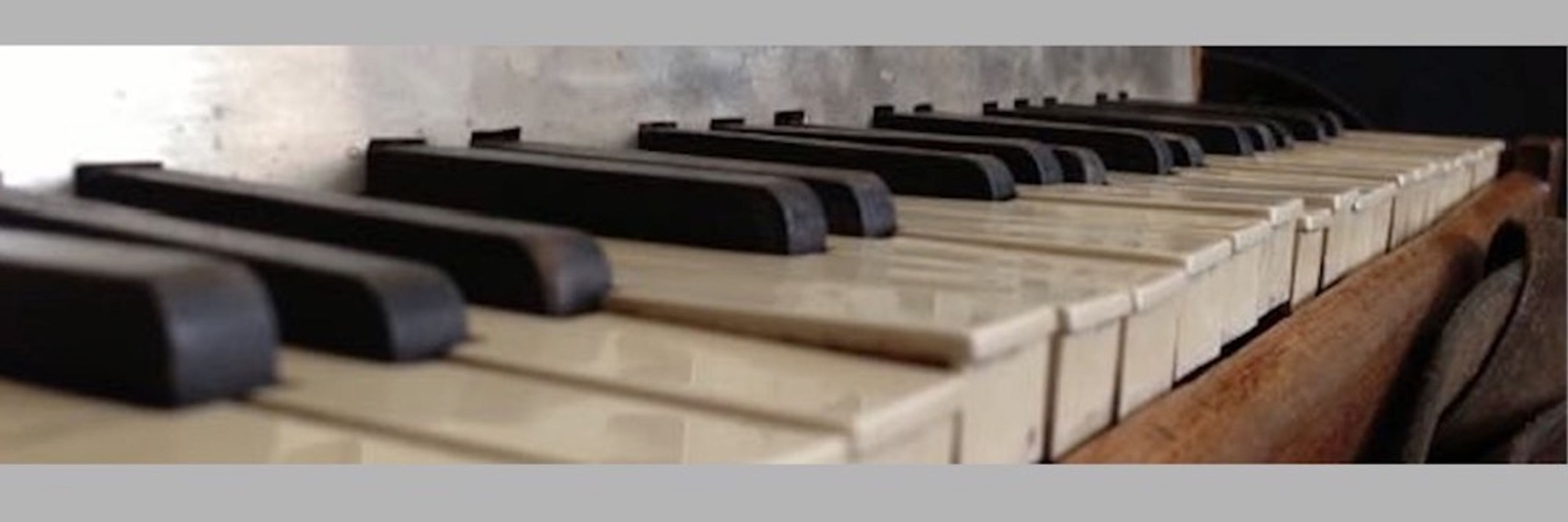 AccordionBruce