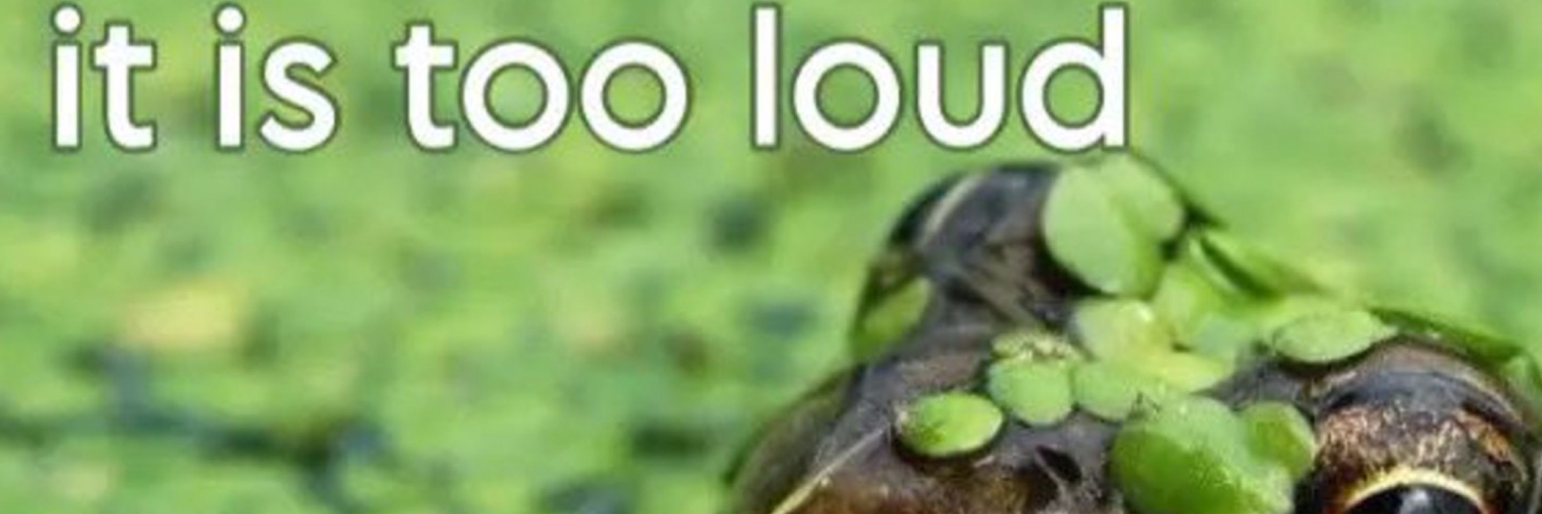 Lo