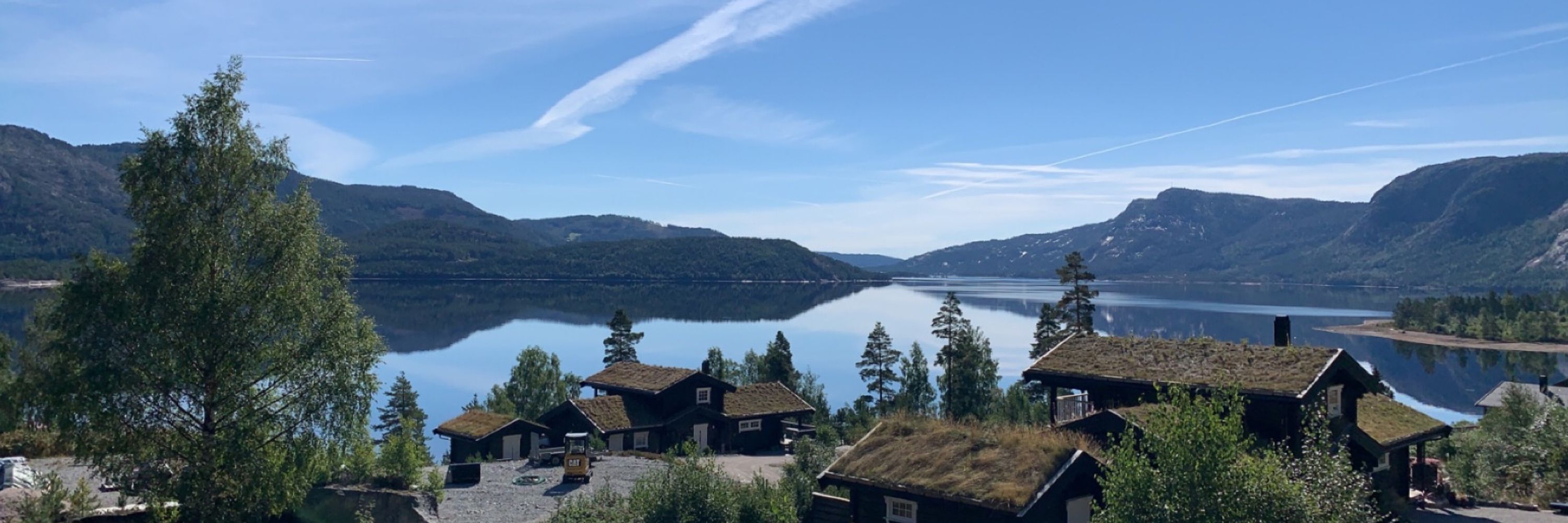 HegeGull