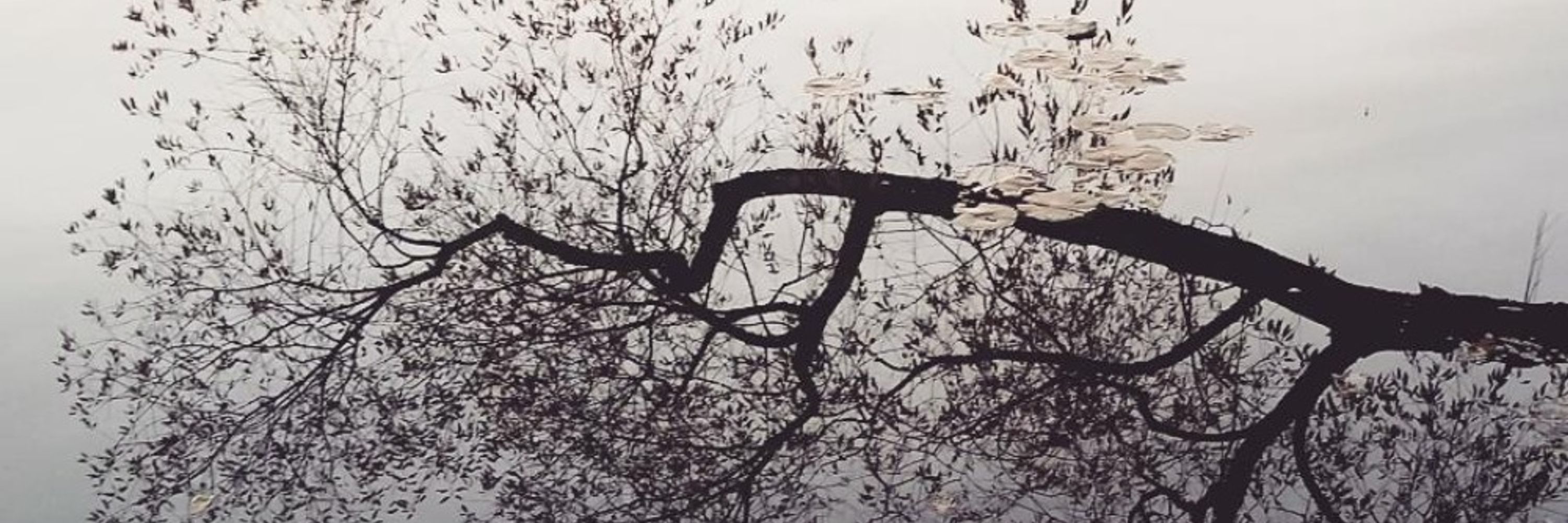 Meg Gaertner is CLOSED to submissions