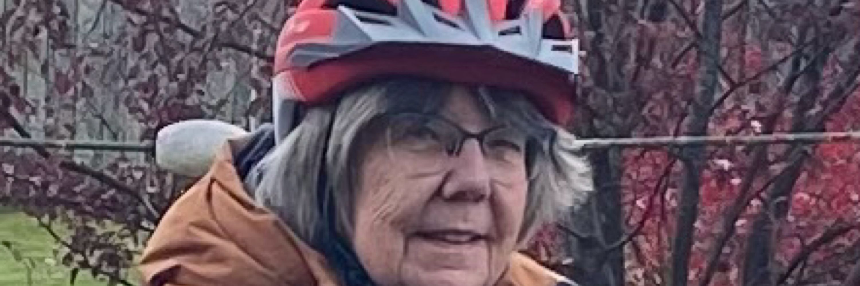 Sue Ness