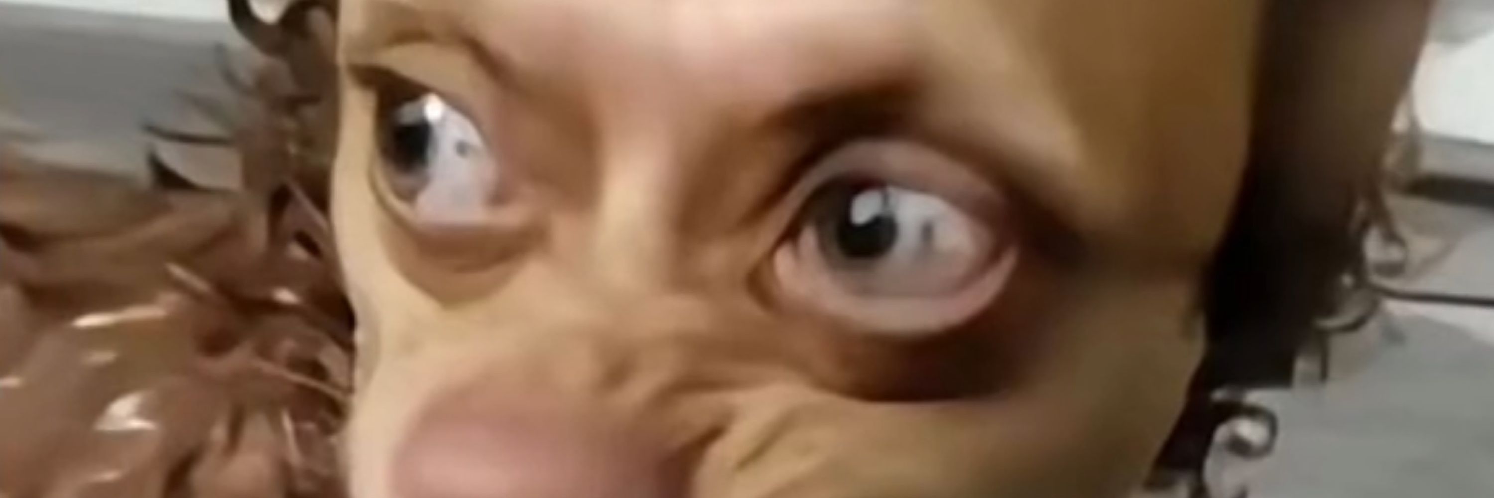 Xuxu 