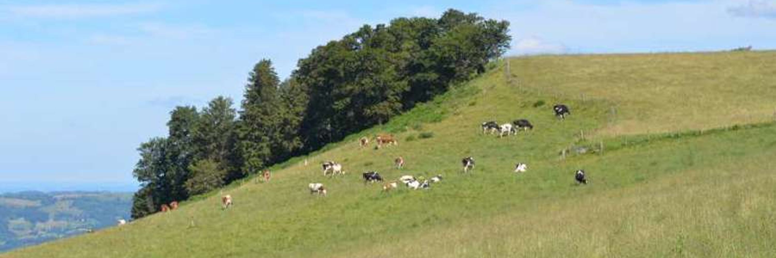 INRAE Herbivores