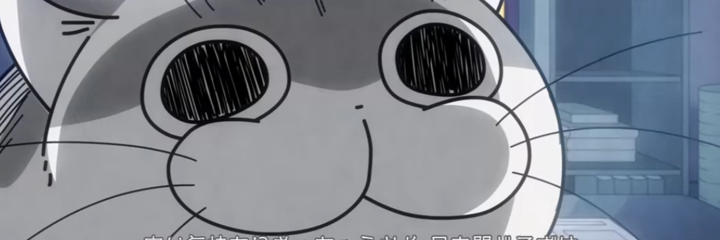 A talking cat
