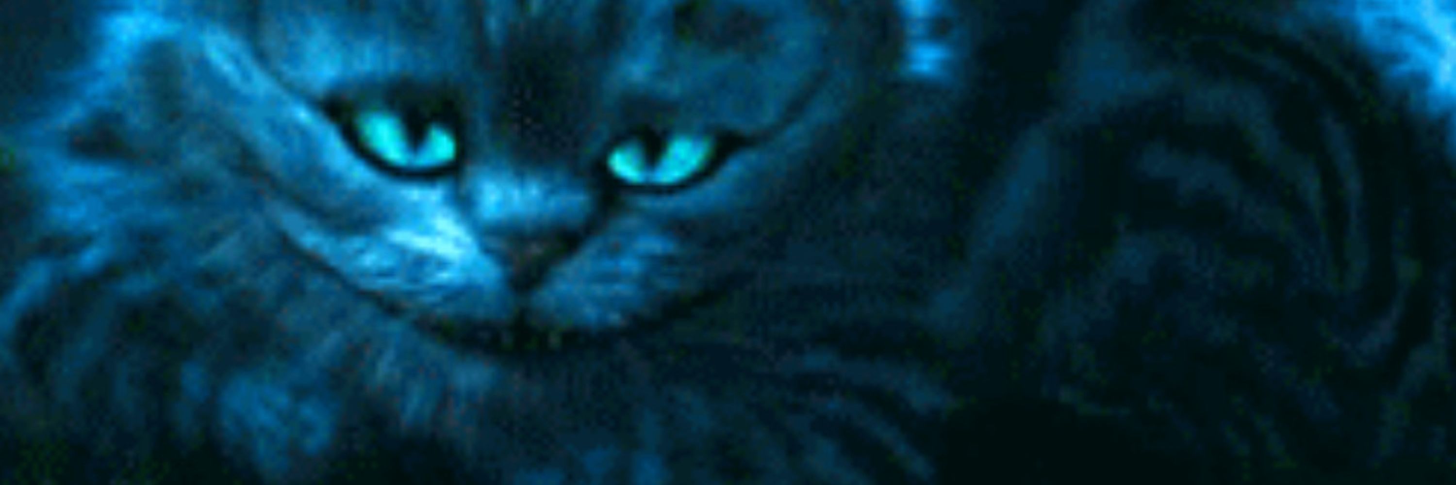 HalloDreamCat