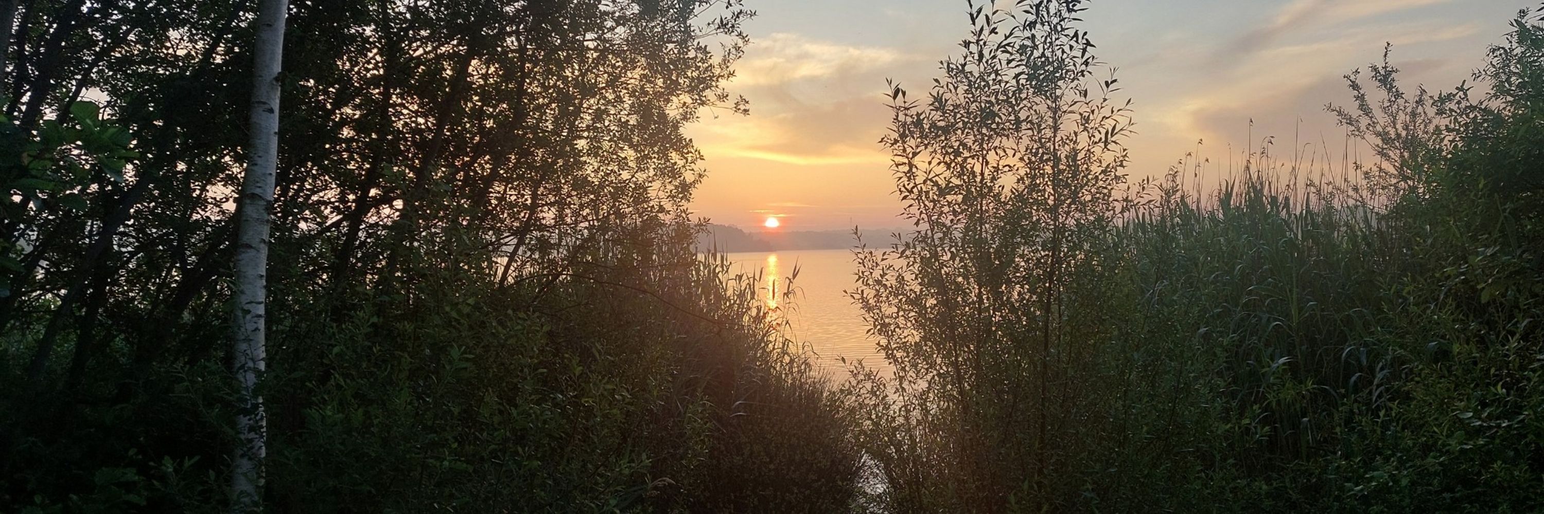 Jeroen Brussee