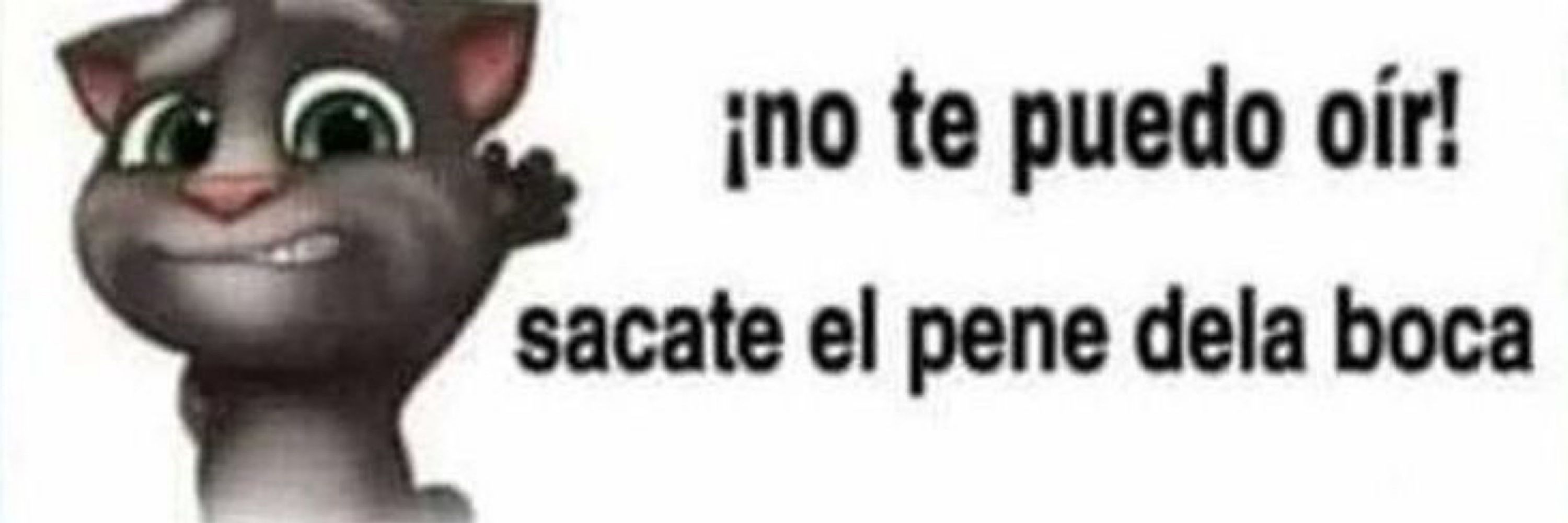 Stheeer