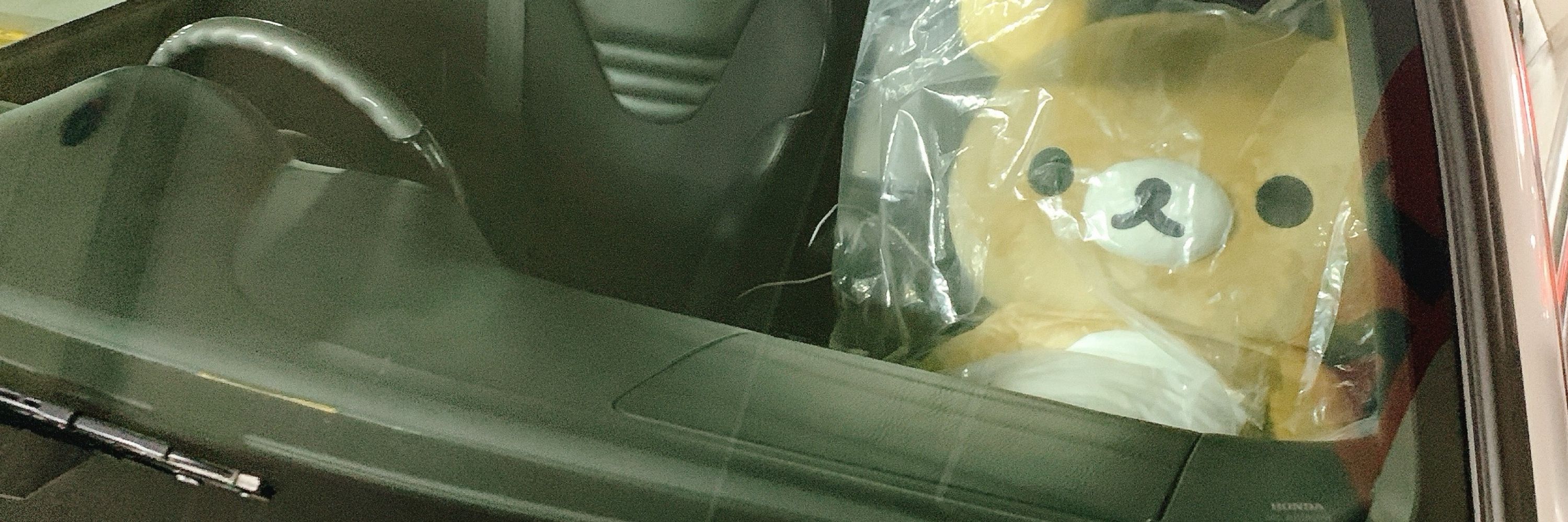 のくま