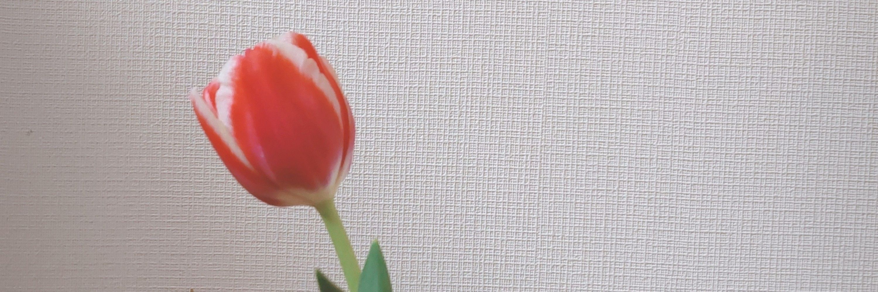 ちな