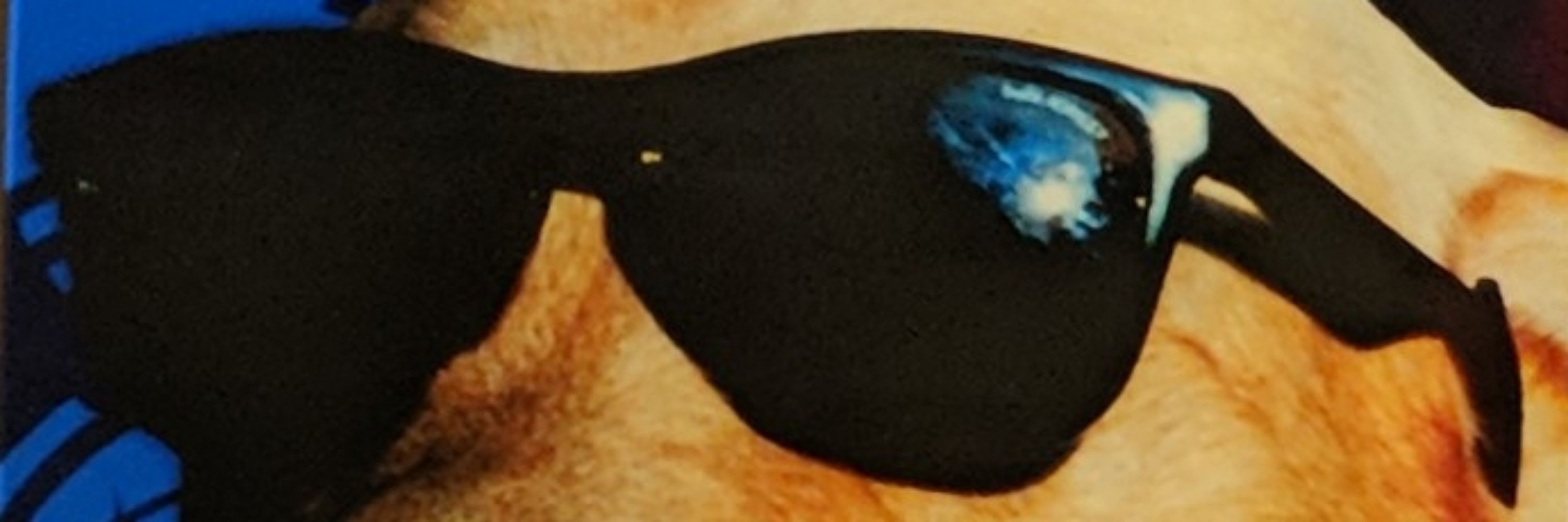 AphroTreesiac