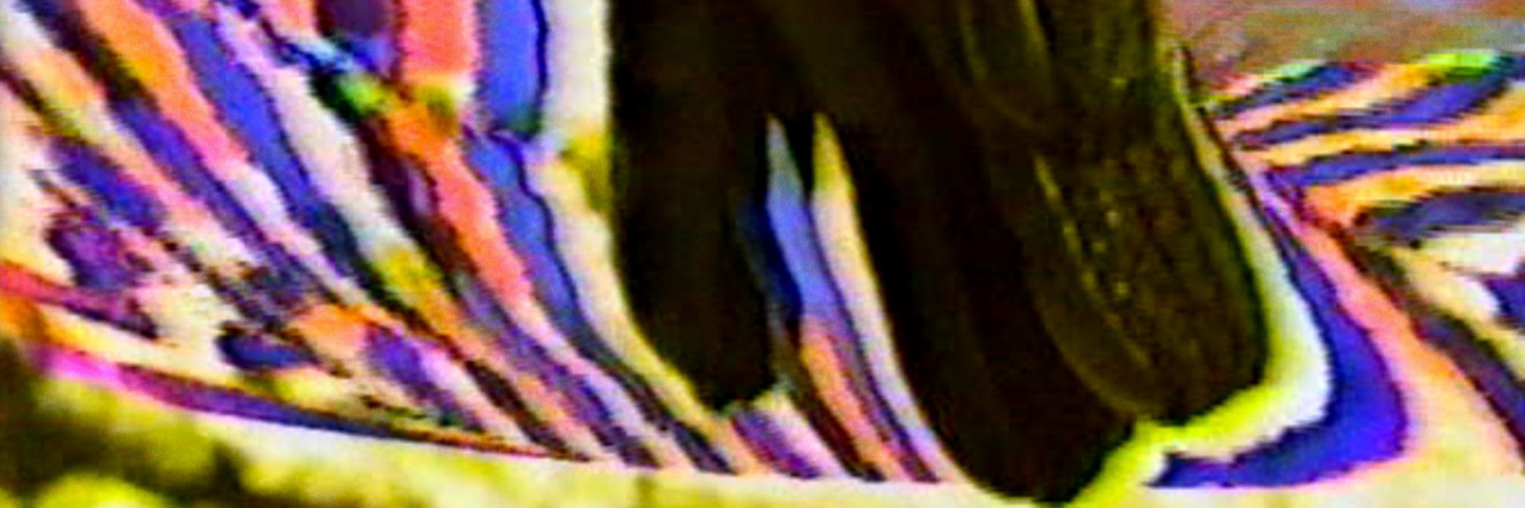 rob c
