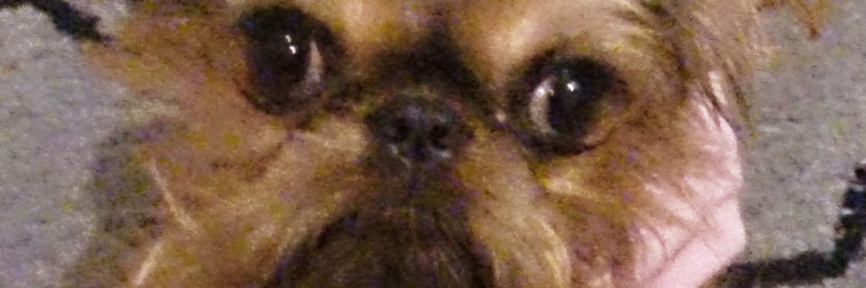 Glubbles