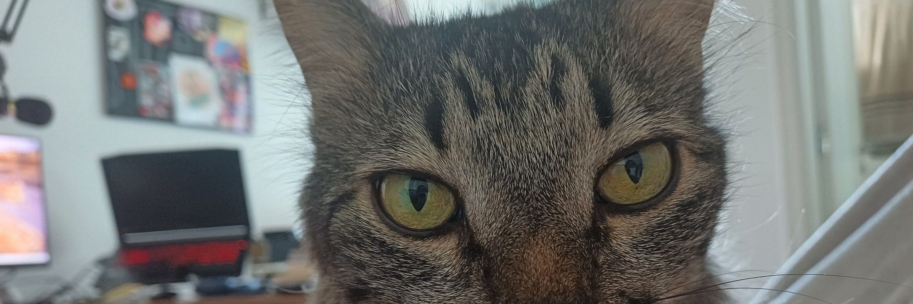 KattoVT