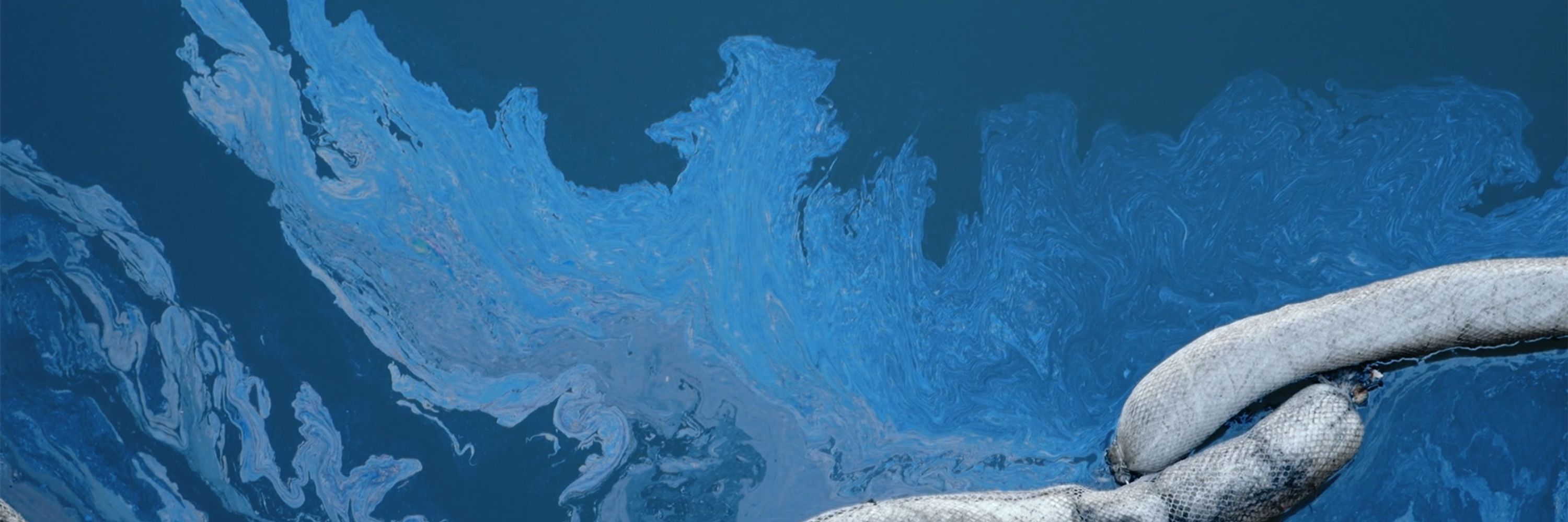 Gowanus Current