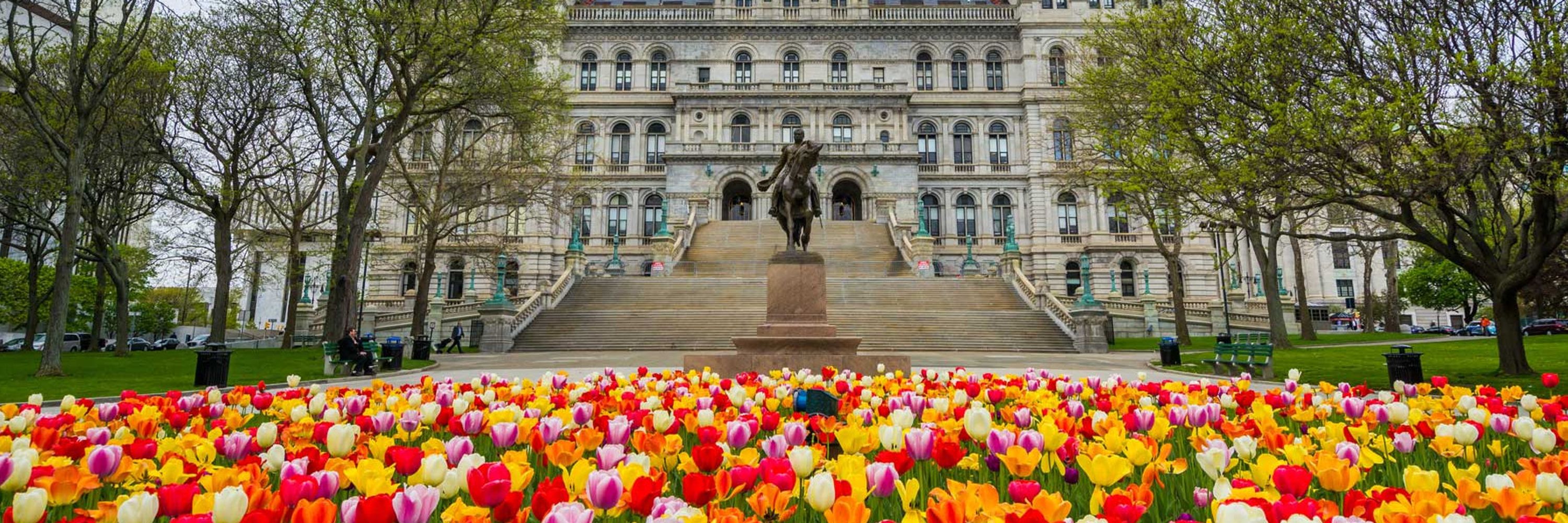 Reinvent Albany